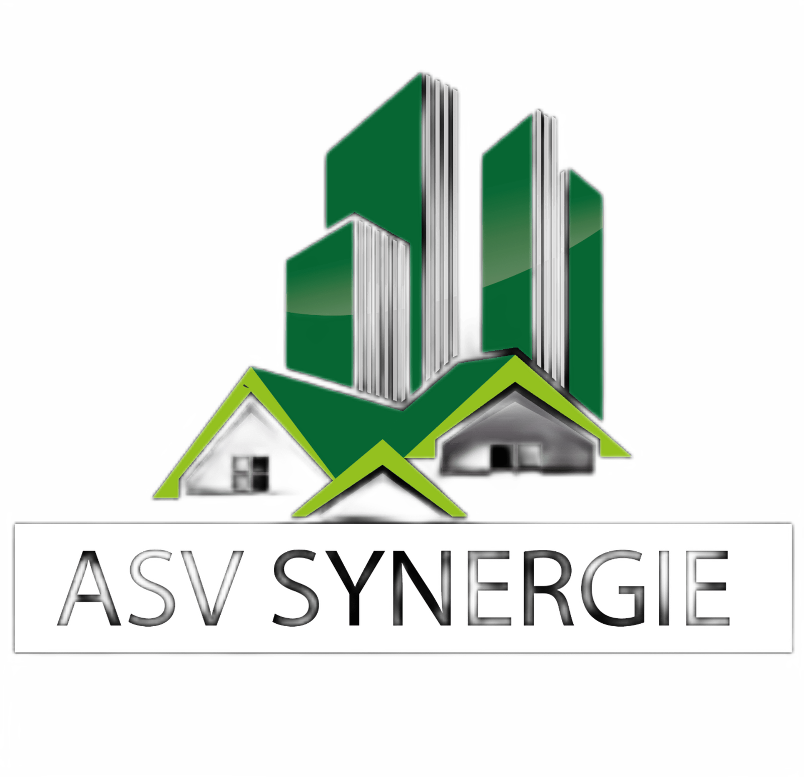 LOGO_ASV_SYNERGIE-transformed