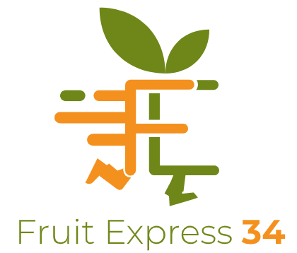 Logo-Fruit-Express.ai-ai