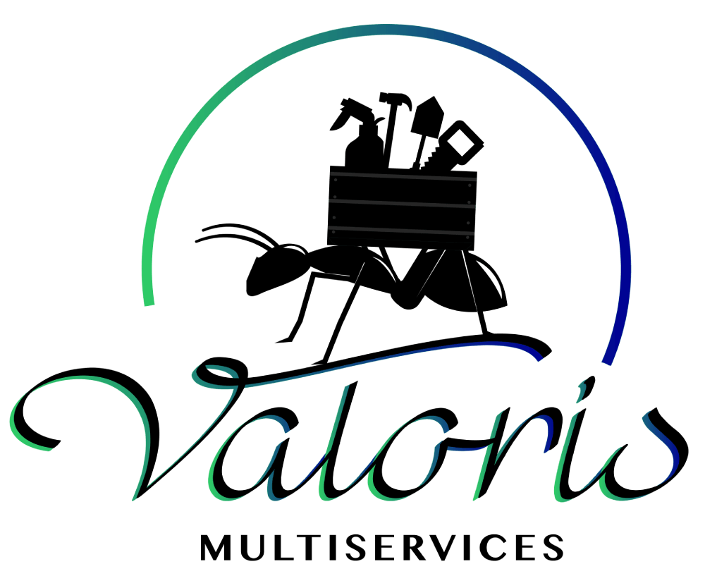 VALORIS_LOGO-1-1