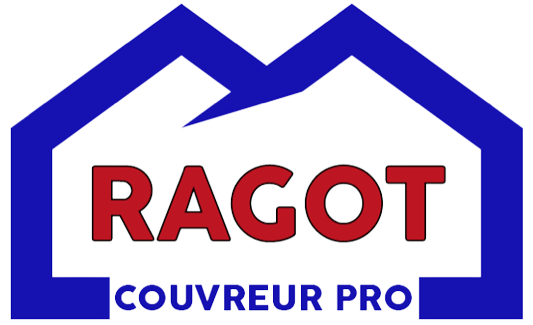 logo_1_Mr_Ragot-removebg-preview-1